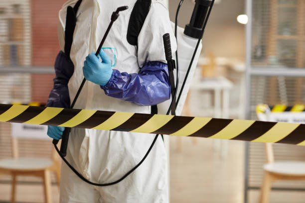 Professional Blood Cleanup technician working in Branch, AR